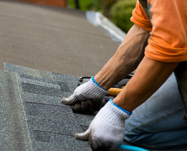Best Storm Damage Roof Repair  in Lynnwood Pricedale, PA